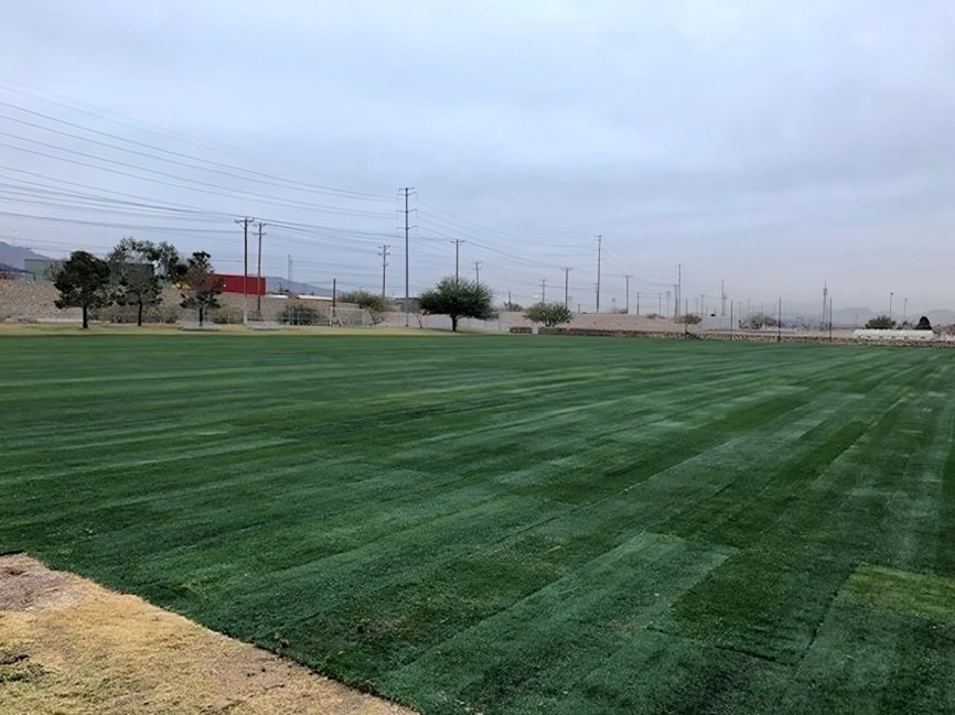 A large field with green grass on it